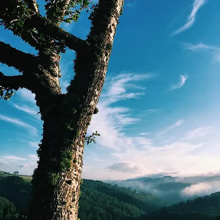 La Quintana De Zarauza *