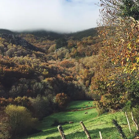 La Quintana De Zarauza
