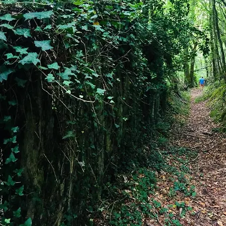 La Quintana De Zarauza Teijois
